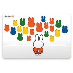 Nijntje Museum kinderplacemat