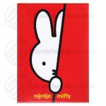 Nijntje kinderbestek set rvs 4-delig