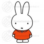 Nijntje kinderbestek set rvs 4-delig